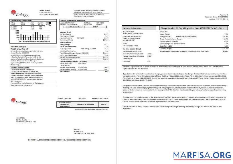Downloadable USA Entergy electricity utility bill template in Word and PDF format (2 pages)